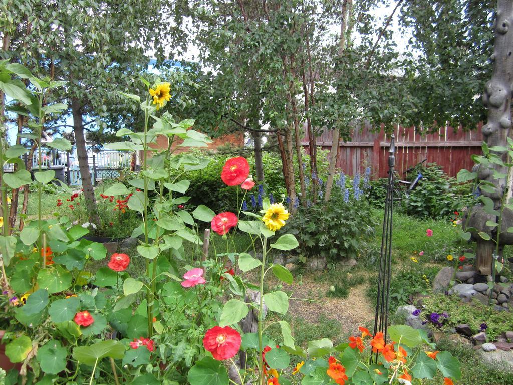Historical Guest House Whitehorse Exterior photo